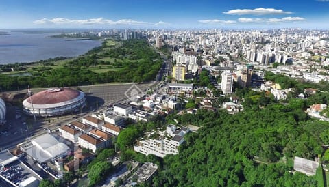 Image 13 - 264682